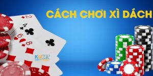 Cách Chơi Xì Dách Chi Tiết Và Hiệu Quả Cho Tân Binh 